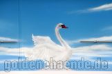 graffitiauftrag_hausboot_wasser_schwan_brandenburg_2.jpg